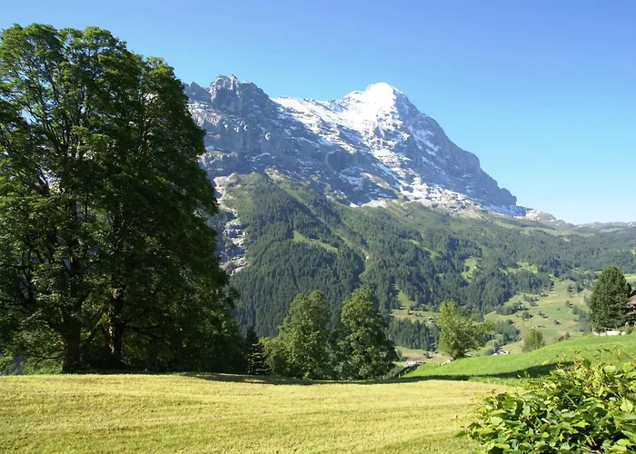 Nussbaum - Griwa Rent Ag Apartament Grindelwald